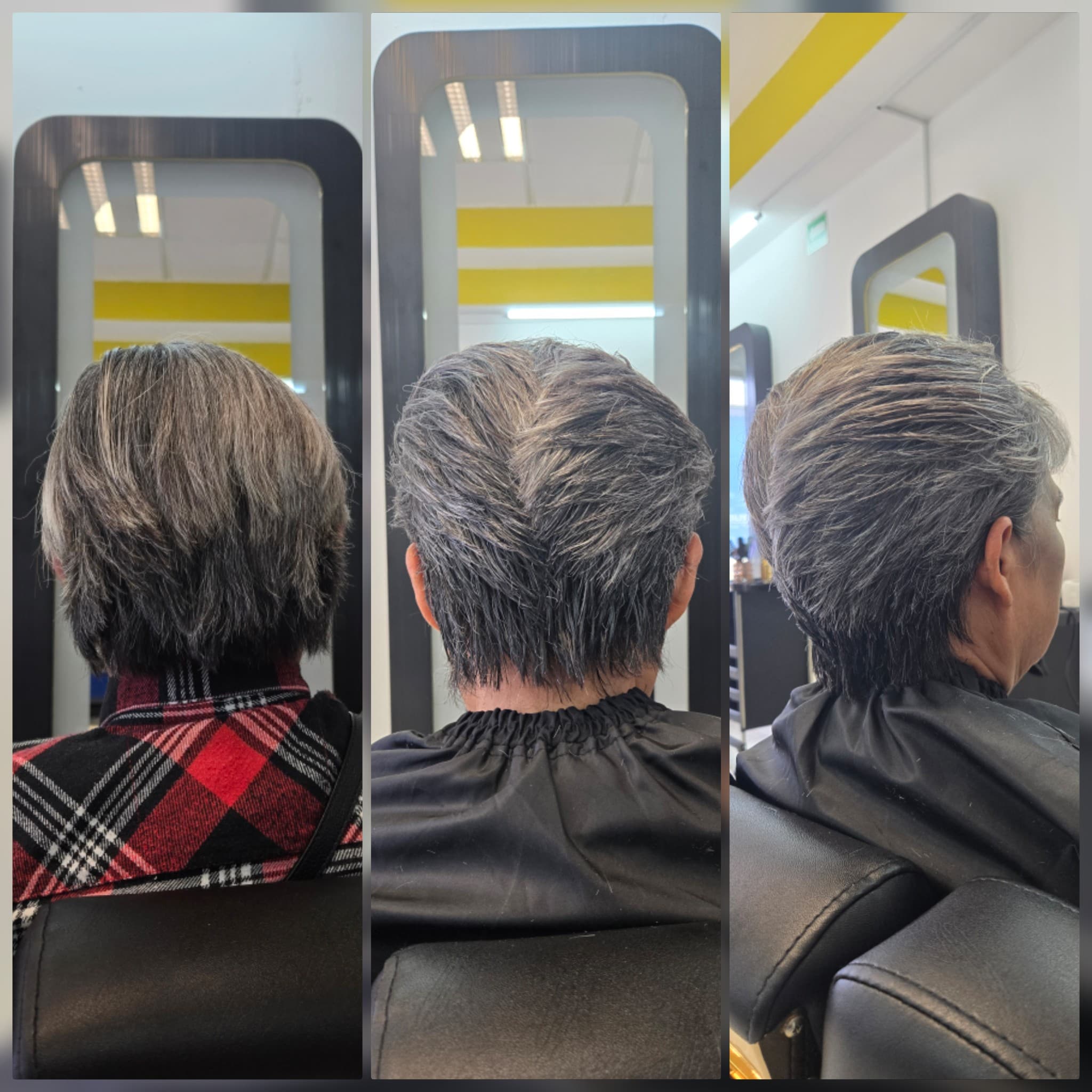 Corte Dama